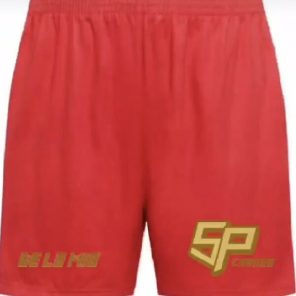 Performance Training Shorts